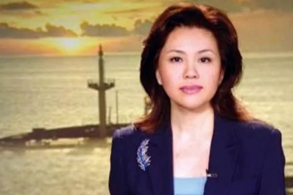 方静老公个人资料 间谍案怎么还出现在央视中了