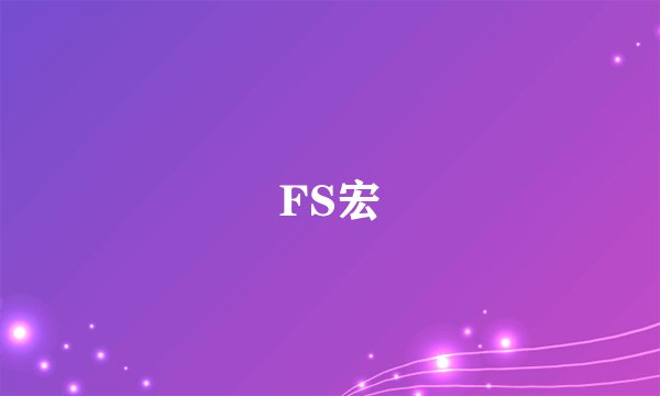 FS宏