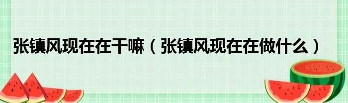 张镇风现在在干嘛（张镇风现在在做什么）