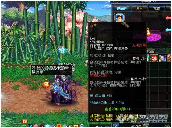 超值宠物盘点!DNF特别宠物礼盒有哪些好宠物?