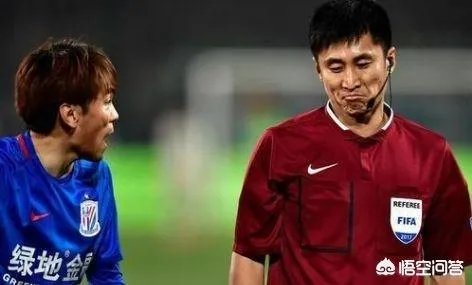 足协在中超动员会上宣布2019赛季将推出职业裁判制度，你觉得这样能避免黑哨？