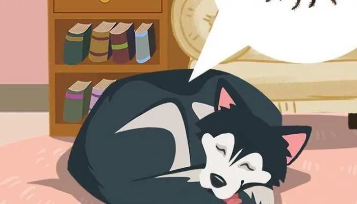 哈士奇吃什么狗粮好 哈士奇的优缺点