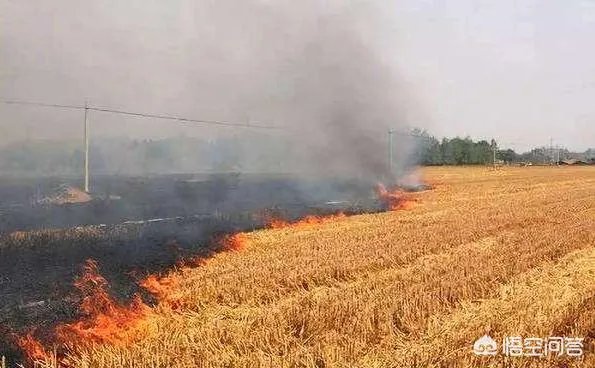 石家庄雾霾为什么这么重