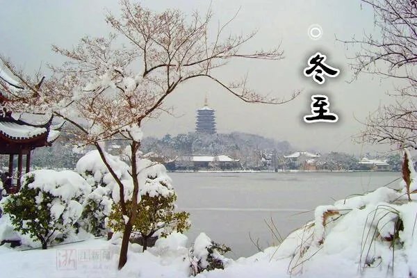 2019数九天时间表