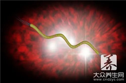 mrsa是什么细菌?