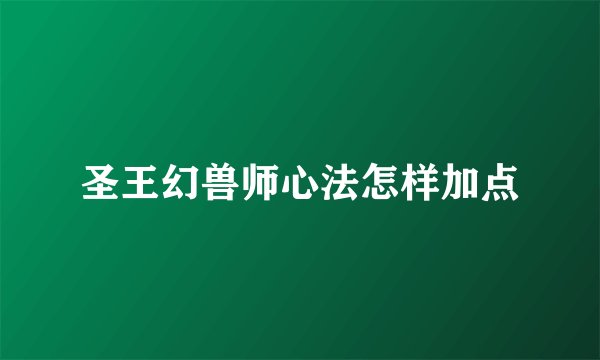 圣王幻兽师心法怎样加点