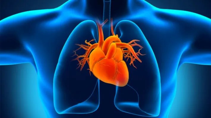 心跳过快怎么办