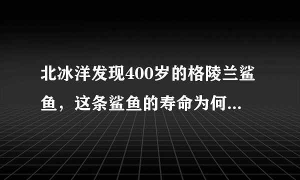 北冰洋发现400岁的格陵兰鲨鱼，这条鲨鱼的寿命为何这么长？