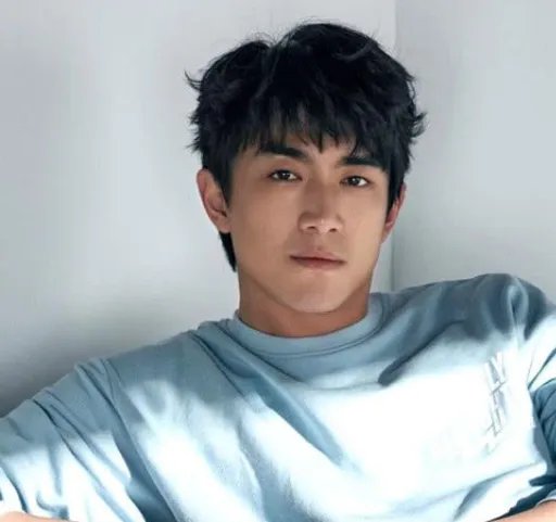 林更新被大姐拦车门要合影，林更新对此是何反应？