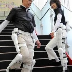 混合辅助肢体的特点