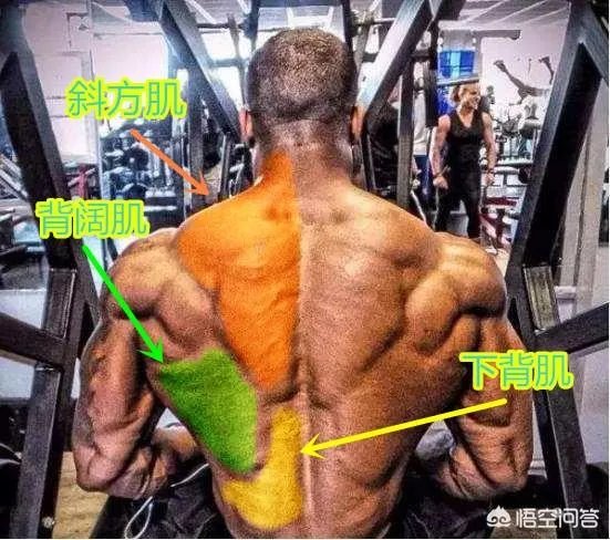 练背可以天天练吗