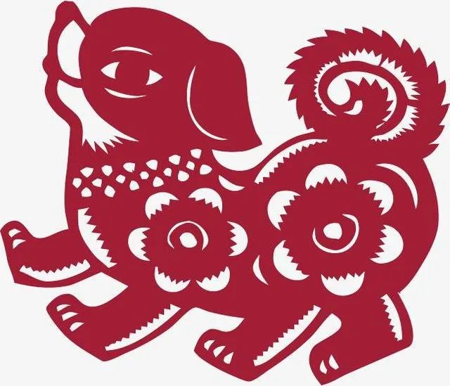 94年的今年多大 94年属什么