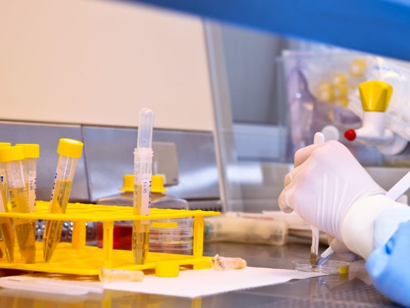 胎儿亲子鉴定怎么做