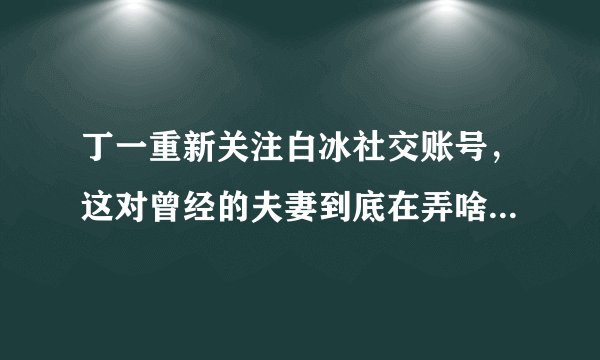 丁一重新关注白冰社交账号，这对曾经的夫妻到底在弄啥- 飞外网