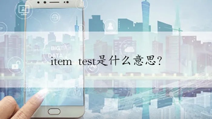 item test是什么意思？