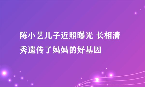 陈小艺儿子近照曝光 长相清秀遗传了妈妈的好基因