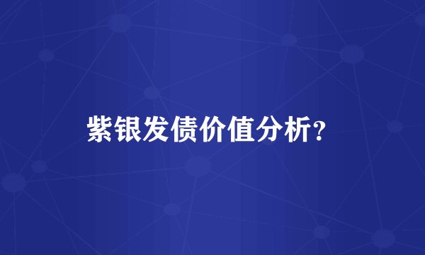 紫银发债价值分析？