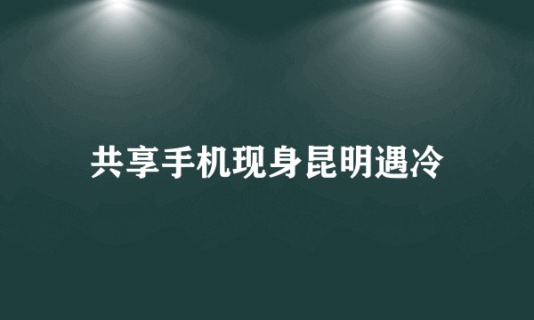 共享手机现身昆明遇冷