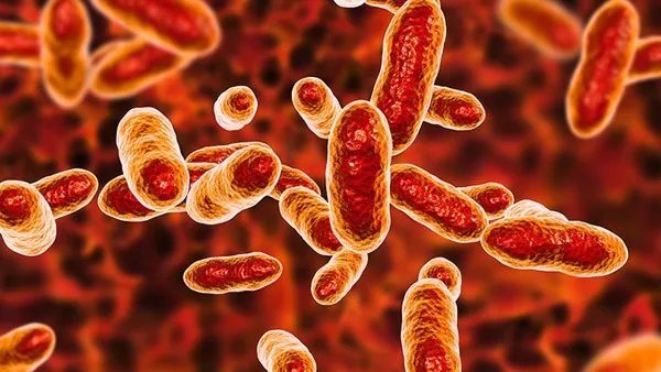 幽门螺杆菌感染症状有哪些