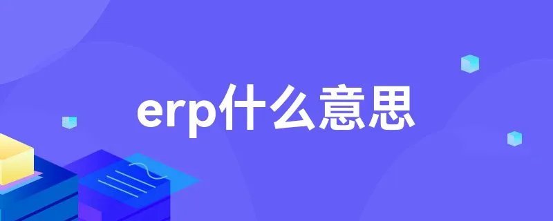 erp什么意思