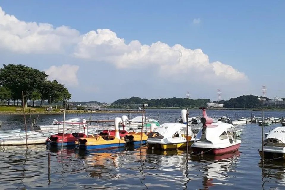 我孙子市是哪个县 我孙子市离东京多远