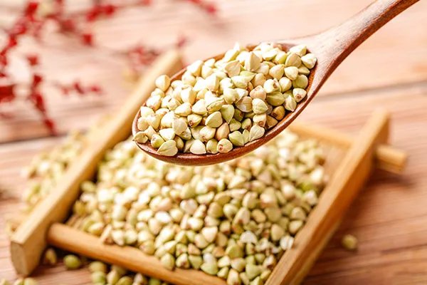 荞麦的功效与作用