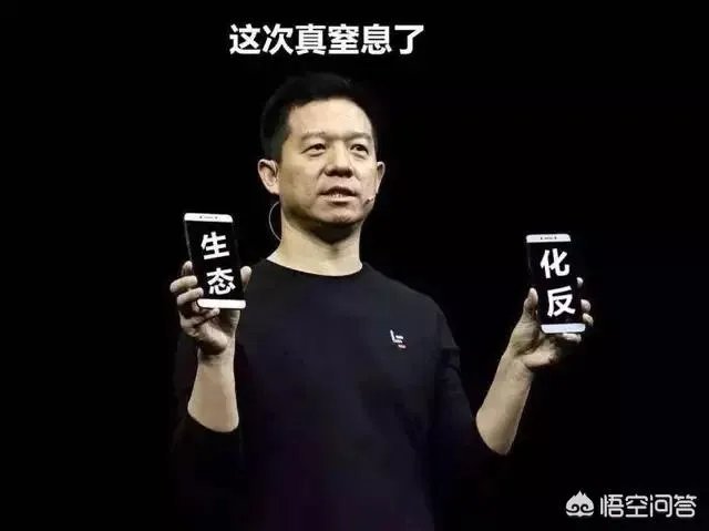 如何看待王思聪向乐视索赔一事？