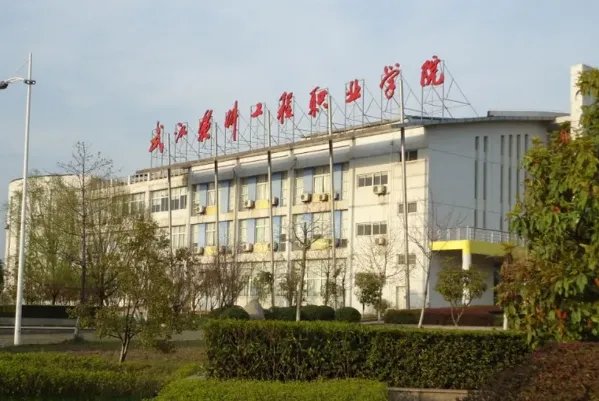 武汉大专排行榜前十,武职排第一,第七位置优越