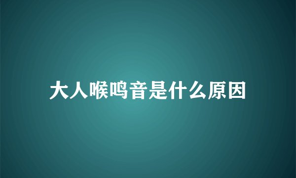 大人喉鸣音是什么原因
