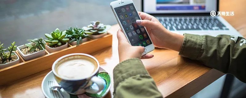 哈拉少什么意思