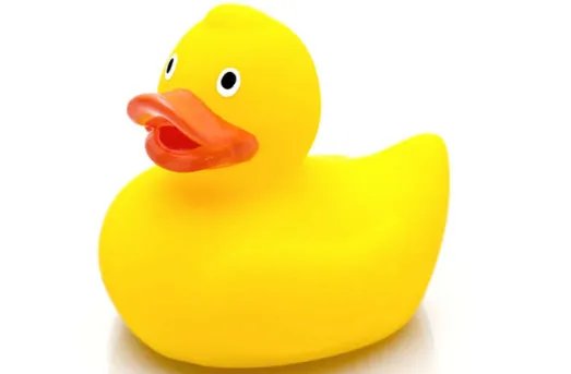 小黄鸭是什么