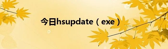今日hsupdate（exe）