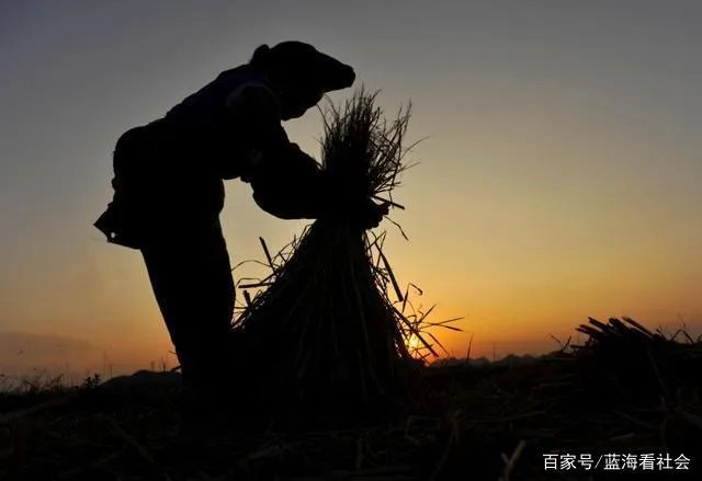 王申父亲王乙是那一章