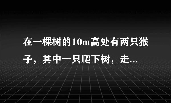 在一棵树的10m高处有两只猴子，其中一只爬下树，走到离树20m的池塘A处，