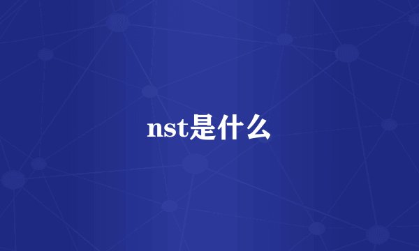 nst是什么