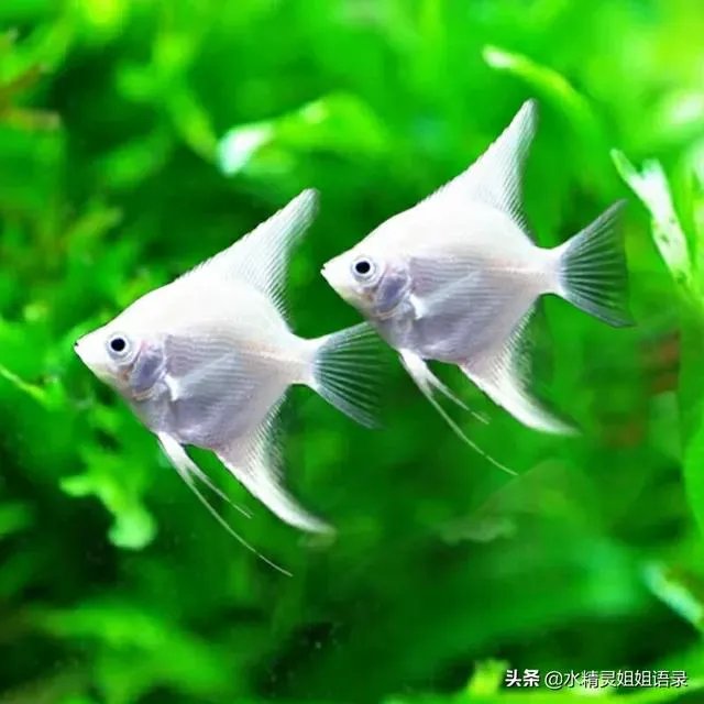 病毒出现变异！戴口罩能防住吗？