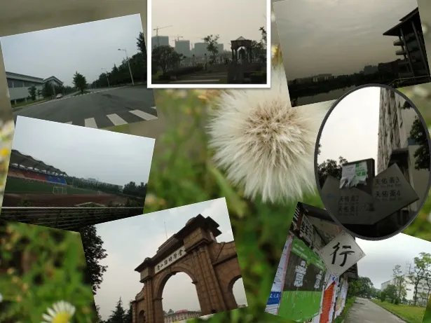 如未相见的介绍