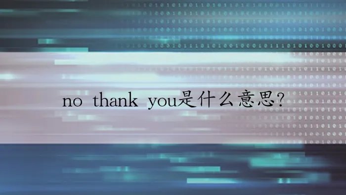 no thank you是什么意思？