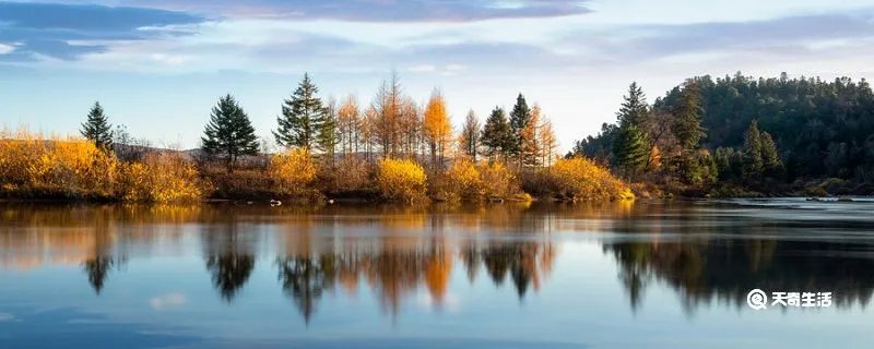 秋色有佳兴下一句