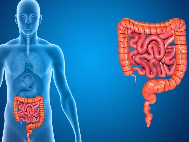 阴沟肠杆菌感染的症状