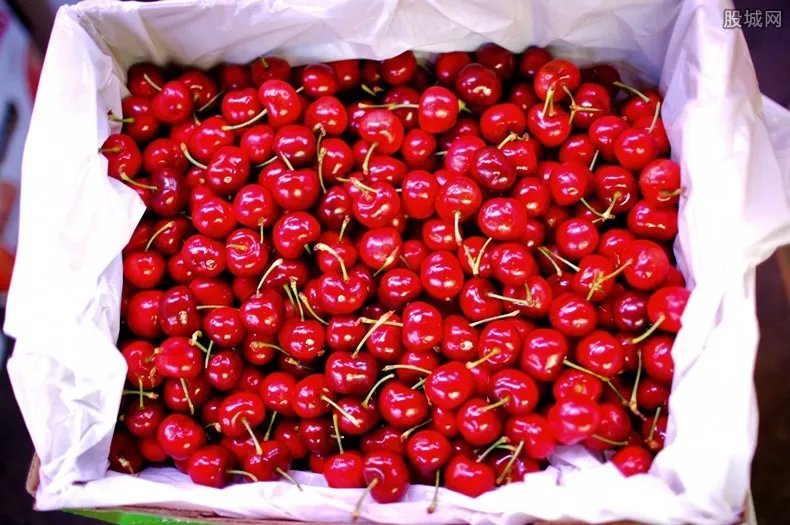 樱桃320元一斤 你还吃得起樱桃吗？