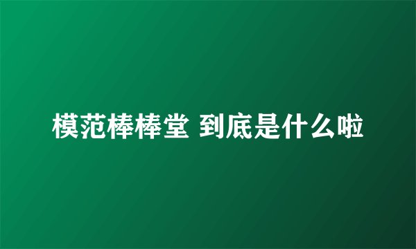 模范棒棒堂 到底是什么啦