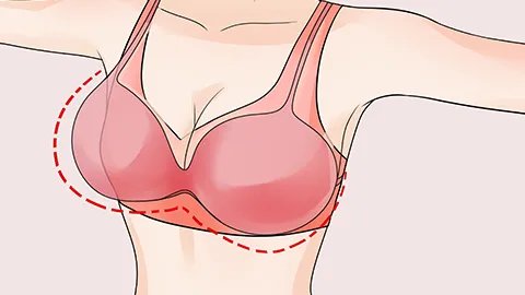 吃西红柿会瘦胸吗