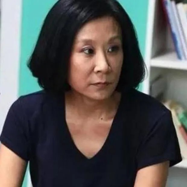 苏小明是苏振华的女儿吗 苏小明杨烁是什么关系