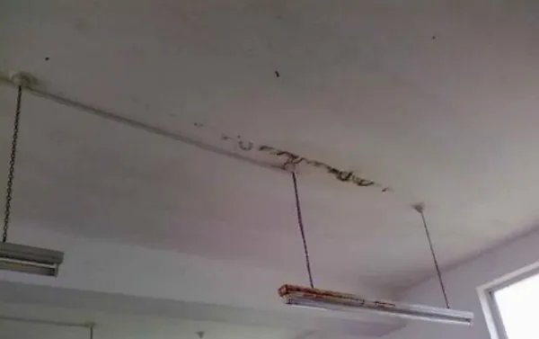 柳州一出租房内天花板滴血,到底是什么原因