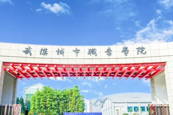 武汉大专排行榜前十,武职排第一,第七位置优越