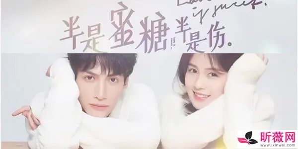 半是蜜糖半是伤原著小说