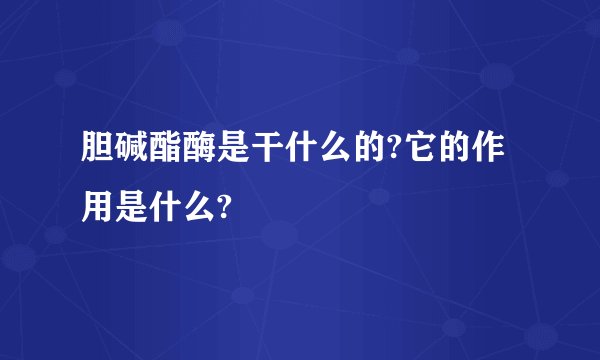 胆碱酯酶是干什么的?它的作用是什么?