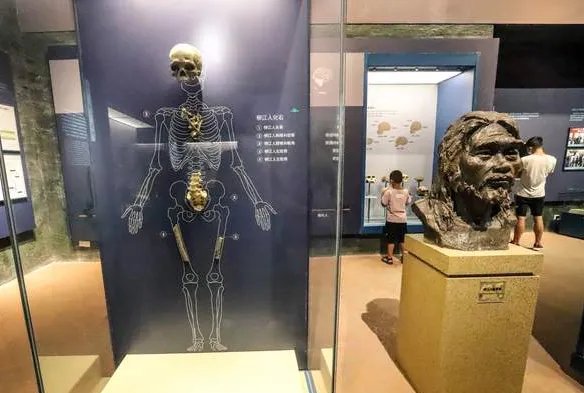 研究发现:人一共有56种性别!怎么判断自己是哪一种?自测一下