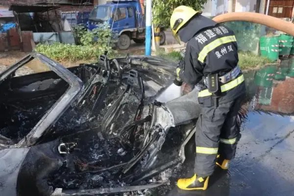 保时捷起火，车主死亡疑留千万家产！导致其死亡的真相是什么？